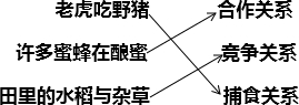 360优课网