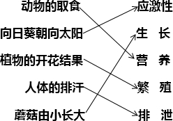 360优课网