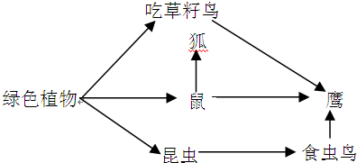 360优课网