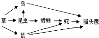 360优课网