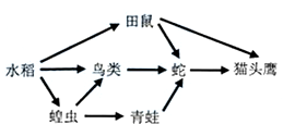 360优课网
