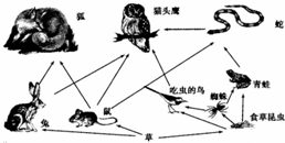 360优课网