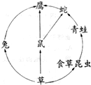 360优课网