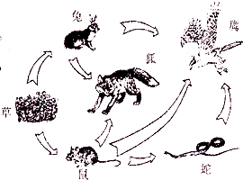 360优课网