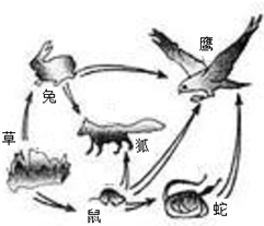 360优课网