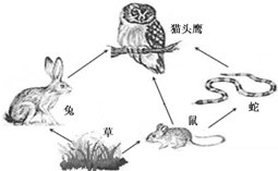 360优课网