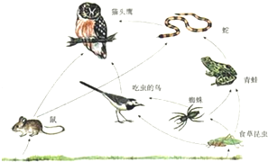 360优课网