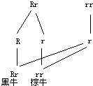360优课网