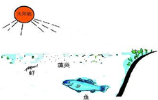 360优课网