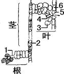 360优课网