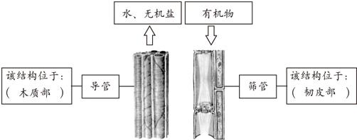 360优课网
