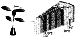 360优课网