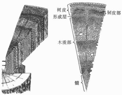 360优课网