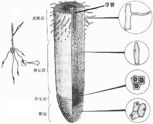 360优课网