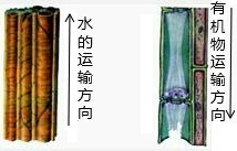 360优课网