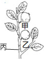 360优课网