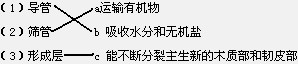 360优课网