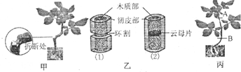 360优课网