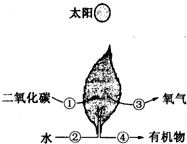 360优课网