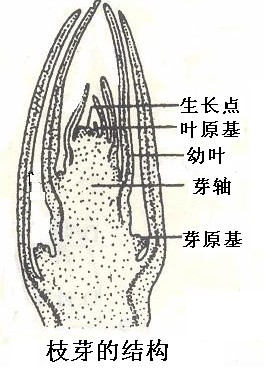 360优课网