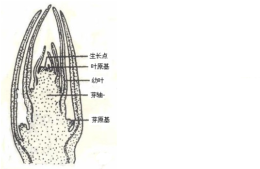 360优课网