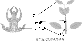 360优课网