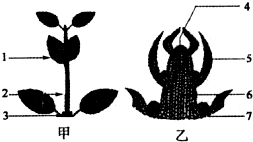 360优课网