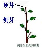 360优课网