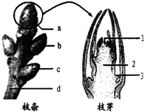 360优课网