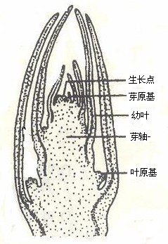 360优课网