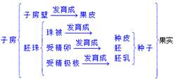 360优课网