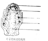 360优课网
