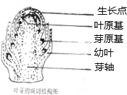 360优课网
