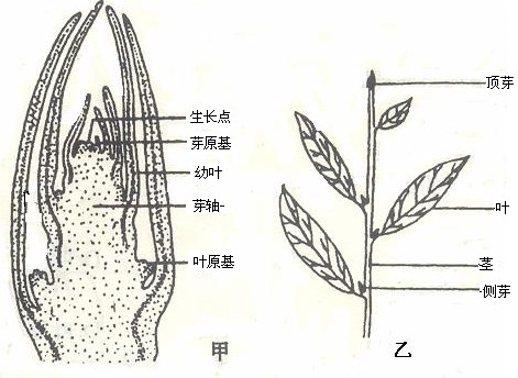 360优课网
