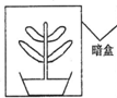 360优课网