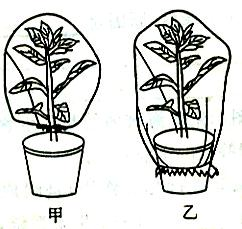 360优课网