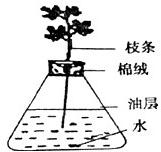360优课网