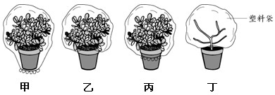 360优课网