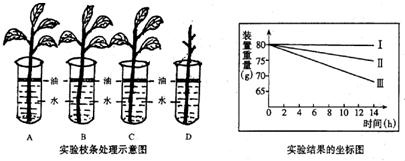 360优课网
