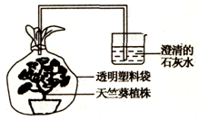 360优课网