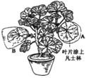 360优课网