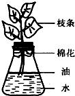 360优课网