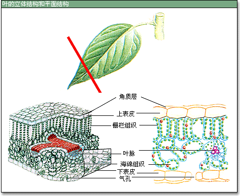 360优课网