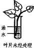 360优课网