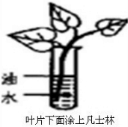360优课网