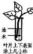 360优课网