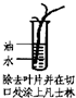 360优课网