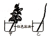 360优课网