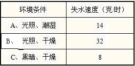 360优课网