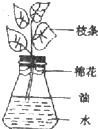 360优课网
